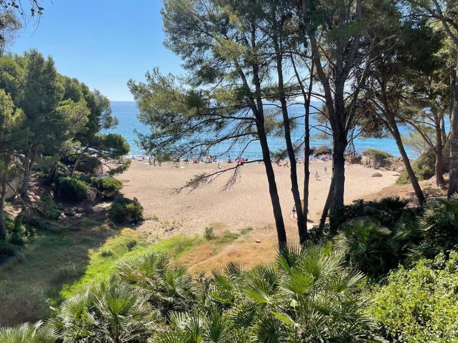 Precioso Apto Miami Primera Linia Playa Cala De Las Sirenas, Con Wifi Y Netflix, Adecuado Para Teletrabajar 迈阿密普拉特亚 外观 照片